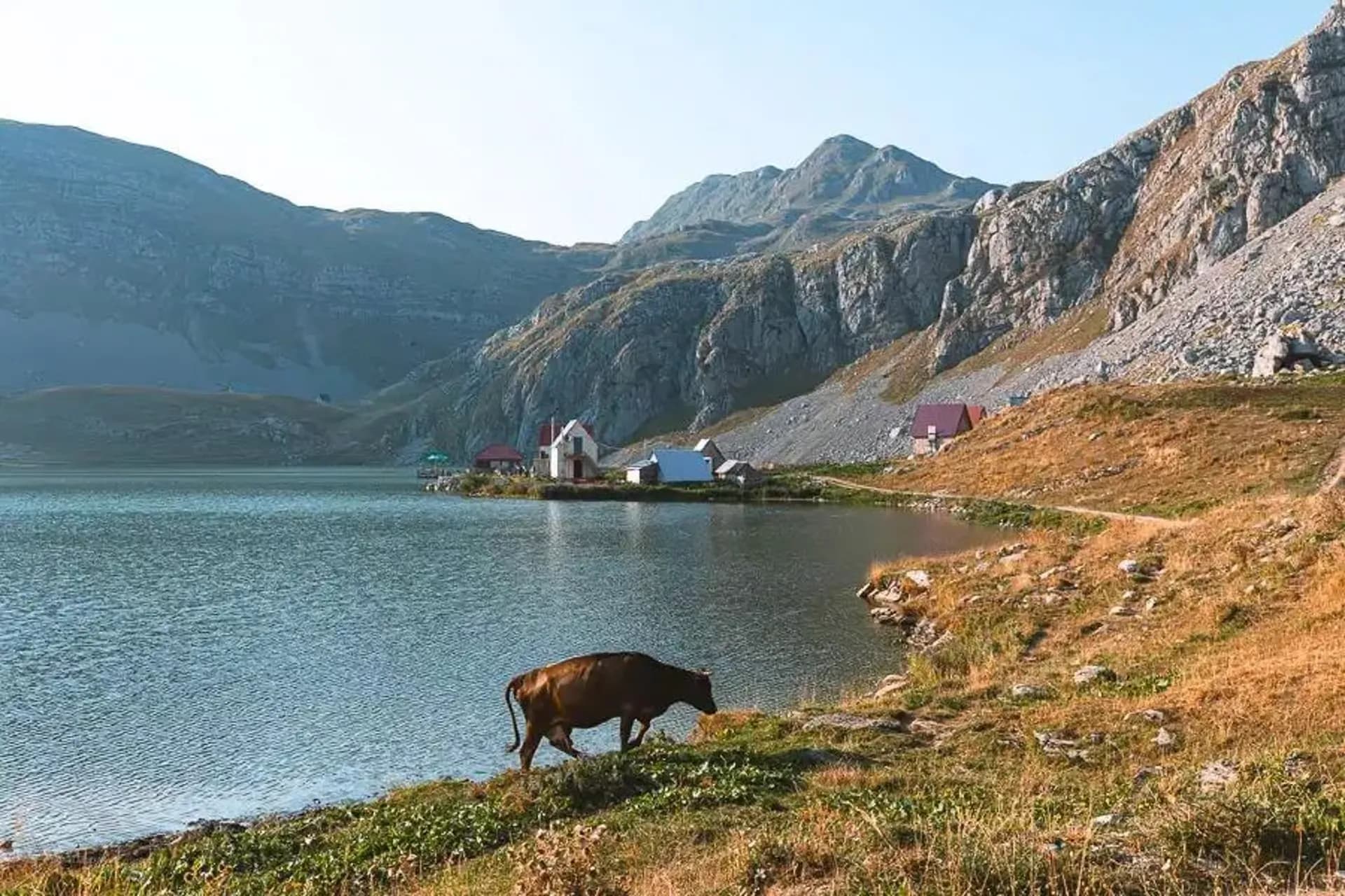 Lakeshore of Kapetanovo Lake at golden hour